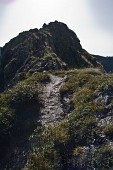Passeggiata sulle creste di Mezzeno il 21 agosto 2011 - FOTOGALLERY